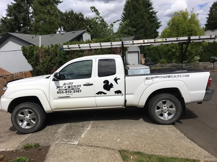 Allied Pest & Wildlife